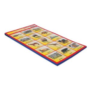 Educational Animals Mat