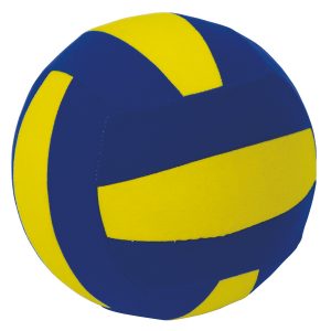 Fun Volleyball