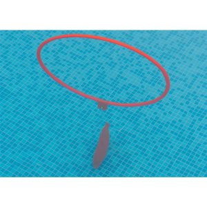 Swimming Pool Hoops with Weighted Bag